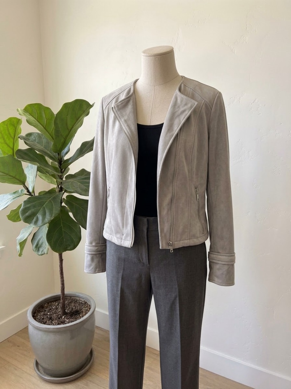 White House Black Market Light Gray Suede Moto Jacket